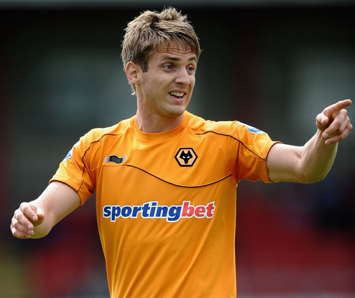 Wolves to assess Kevin Doyle injury | The Independent | The Independent