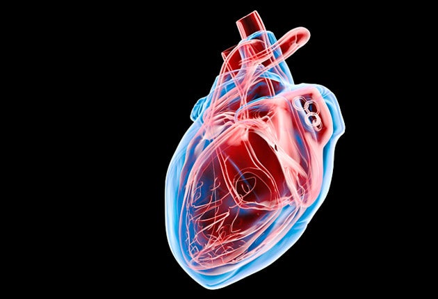 Deposits in blood vessels act as a signal for heart disease