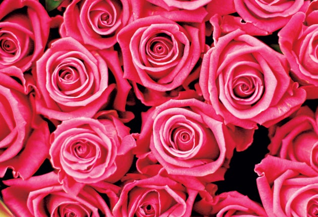 Pink roses are said to signify grace; red are for love but yellow ones indicate infidelity