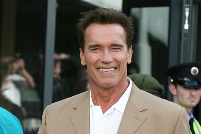 Arnold Schwarzenegger: For a scene in his film True Lies, where horses are ridden into a lift in a skyscraper, Vigilato was employed to stuff the backsides of several horses