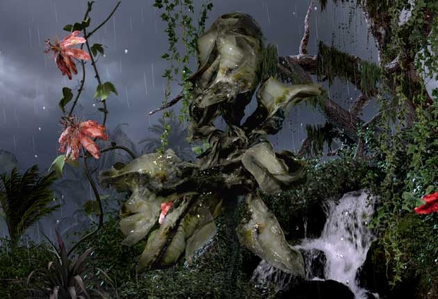 Floral Dance: Mat Collishaw 'Sordid Earth'