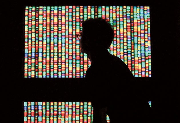 A DNA display at the US Museum of Natural History