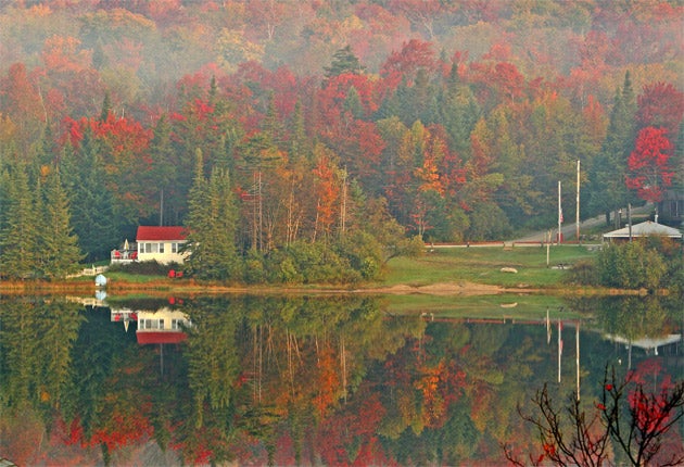 All the leaves are brown: autumn colours of Vermont