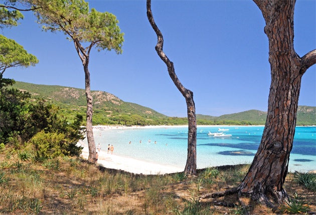Corsica Beach Bliss On A Wild Isle The Independent