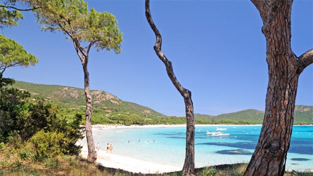 The picture-perfect Palombaggia Plage