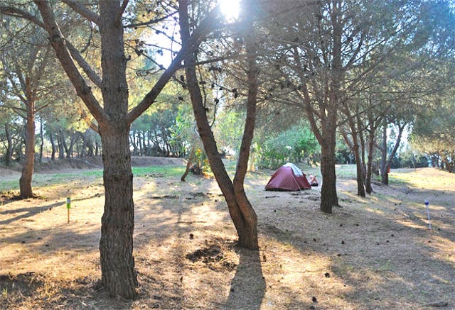 Corsica Beach Bliss On A Wild Isle The Independent The Independent