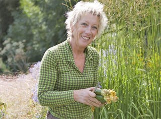 TV gardener Carol Klein shuts nursery after compost dispute | The ...