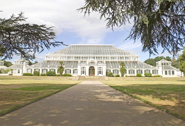 A cracking piece of design: Keeping Temperate House at Kew Gardens open A cracking piece of design: Keeping Temperate House at Kew Gardens open