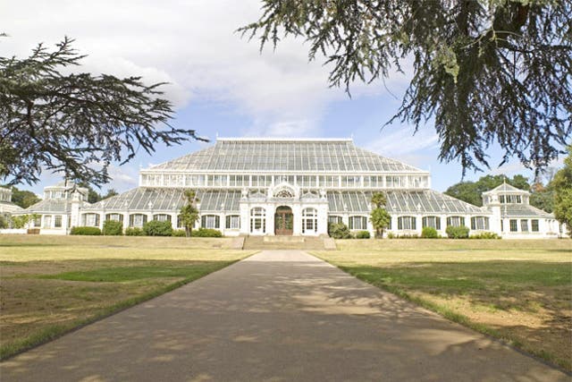 Heart of glass: the Temperate House