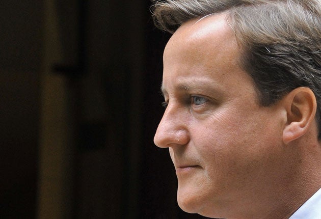 David Cameron is being pulled in different directions by his party