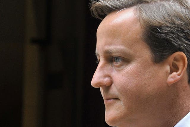 David Cameron is being pulled in different directions by his party