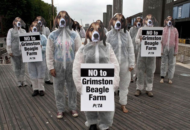 Animal rights protesters in Bristol yesterday