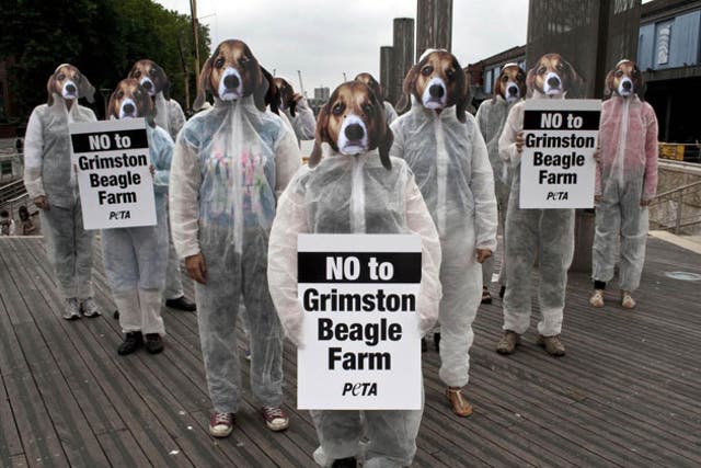 Animal rights protesters in Bristol yesterday