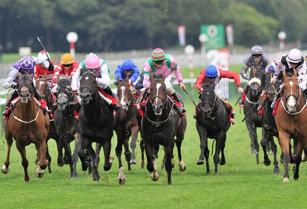 Dream Ahead (centre), who won a threeway photo in the Betfred Sprint Cup