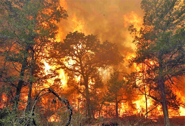 Flames burn out of control near Bastrop State Park in Texas