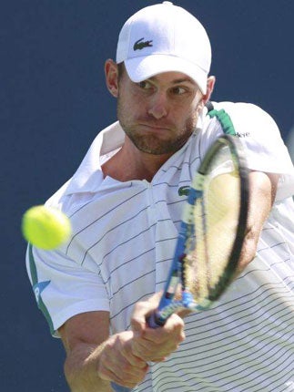 Andy Roddick angrily confronted tournament referee Brian Earley after water started seeping up on to court in his game with David Ferrer