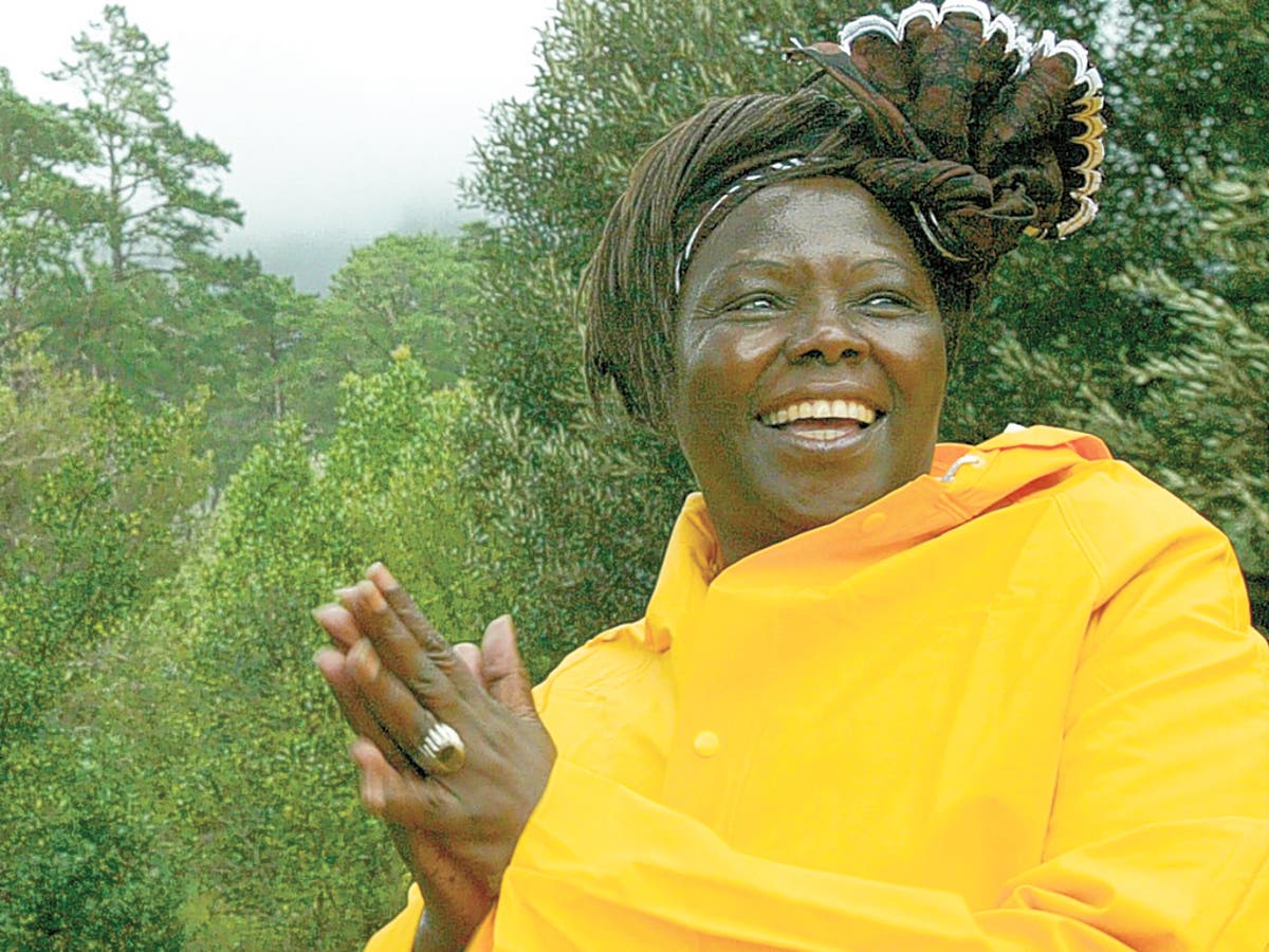 Professor Wangari Maathai: Environmental and political activist who ...