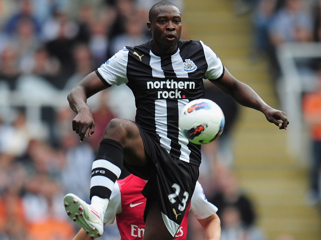 Newcastle's Shola Ameobi played through the pain against Wigan