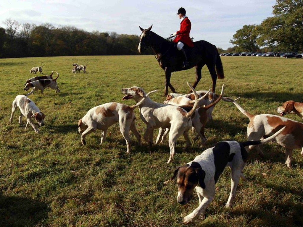 The hunting season started on Saturday for the Old Surrey Burstow &West Kent Hunt in Chiddingstone, Kent
