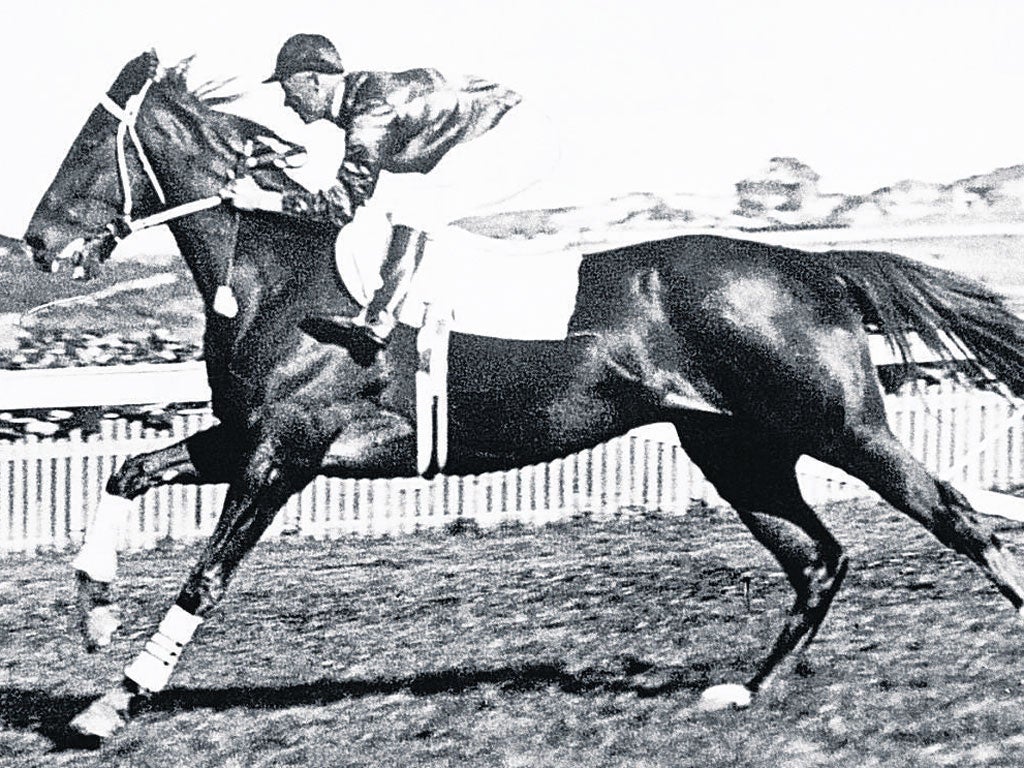 Phar Lap is one of Australia's most loved race horses