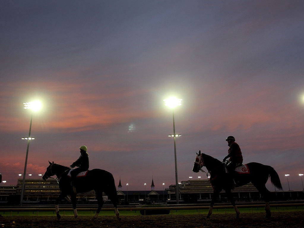Horses exercise in the early-morning light at Churchill Downs yesterday