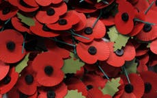 VOICES: WHY I WON'T BE WEARING A RED POPPY