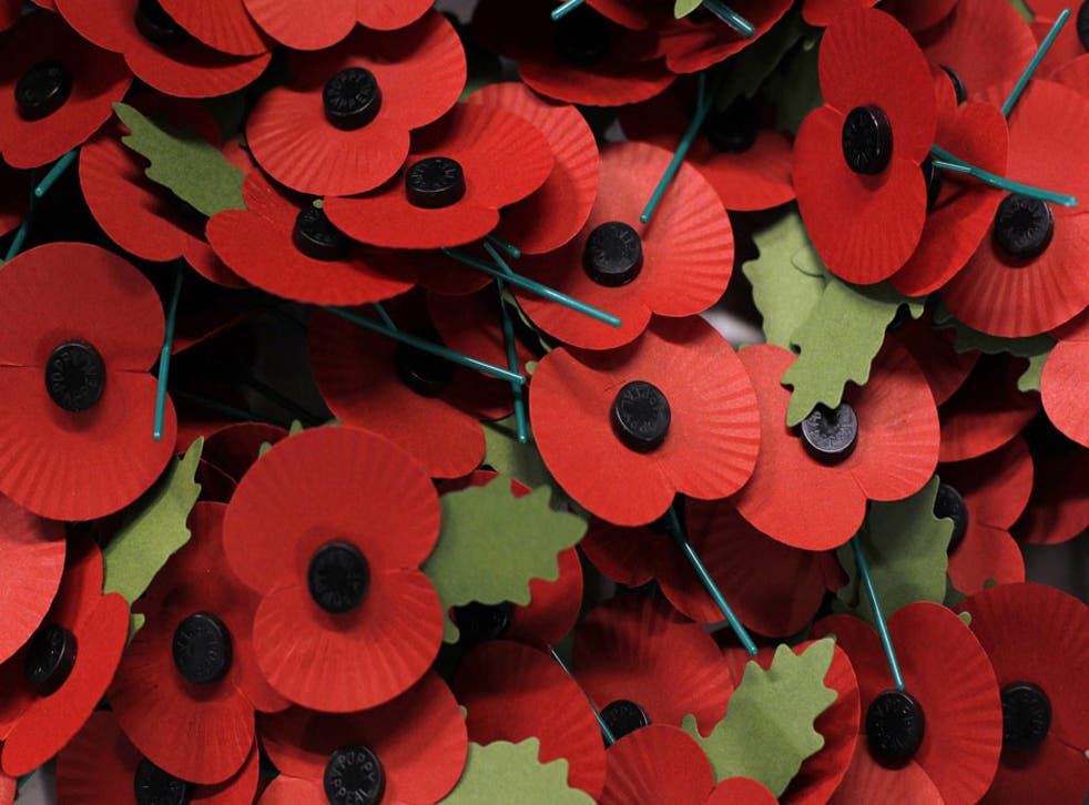 Funds raised from the sale of poppies help the members of the armed forces with financial difficulties