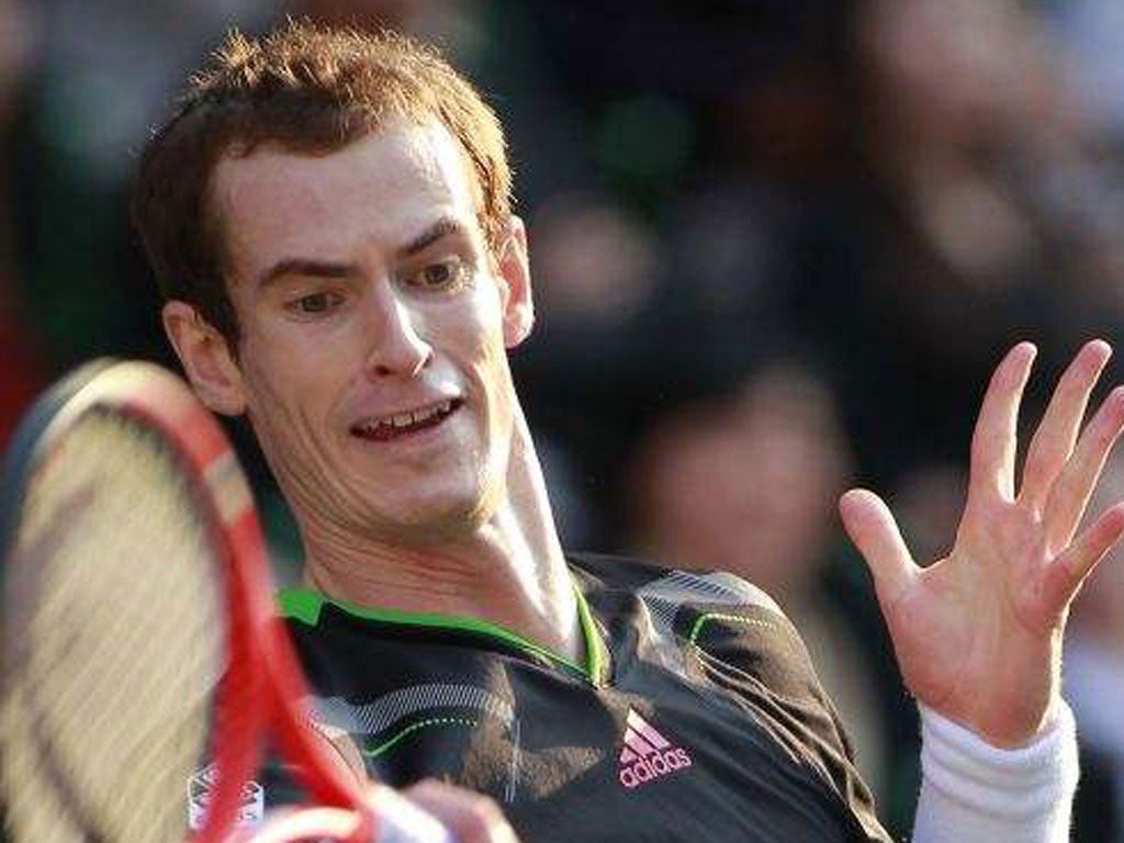Andy Murray has lost just once in his last 26 matches