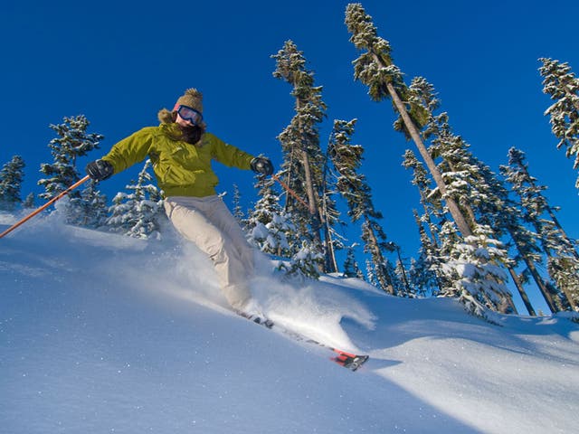 Wood work: Skiing through trees requires technique and ability