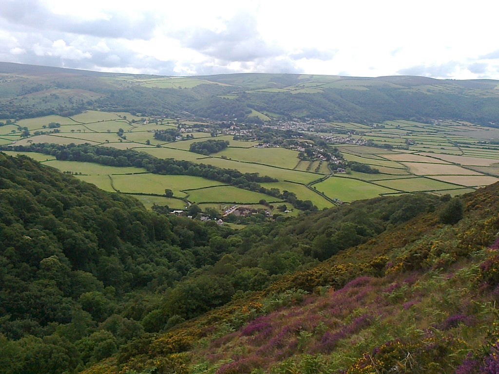 Woods above Selworthy, Bossington and the Vale of Porlock