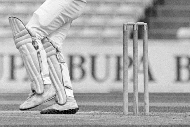 Peter Roebuck felt that cricket attracted people with a fragile nature