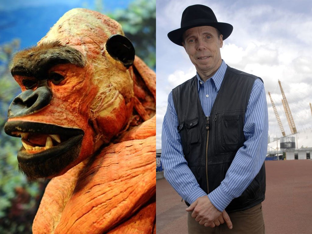 Gunther von Hagens' exhibition will include a plastinated gorilla among 20 whole animal bodies