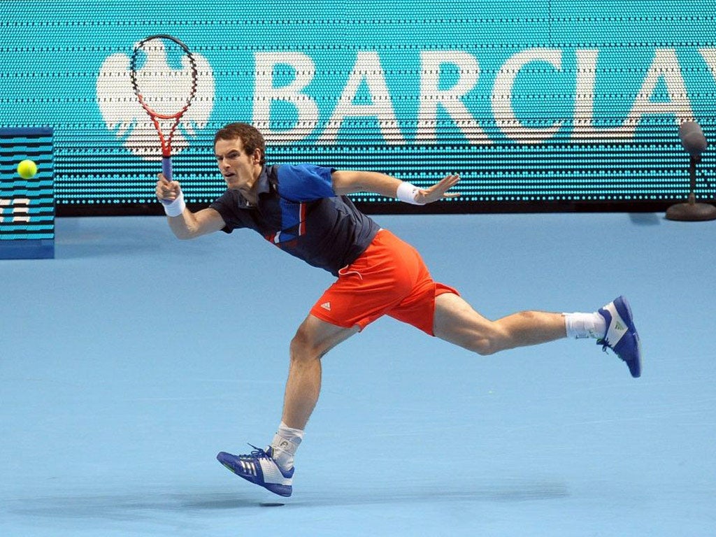 Murray struggled against David Ferrer