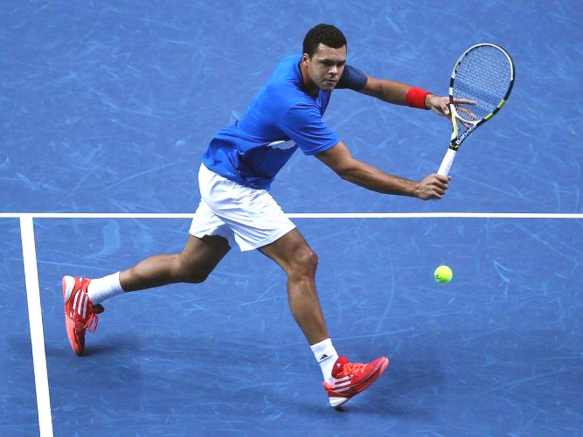 Jo-Wilfried Tsonga claims crucial win | The Independent | The Independent