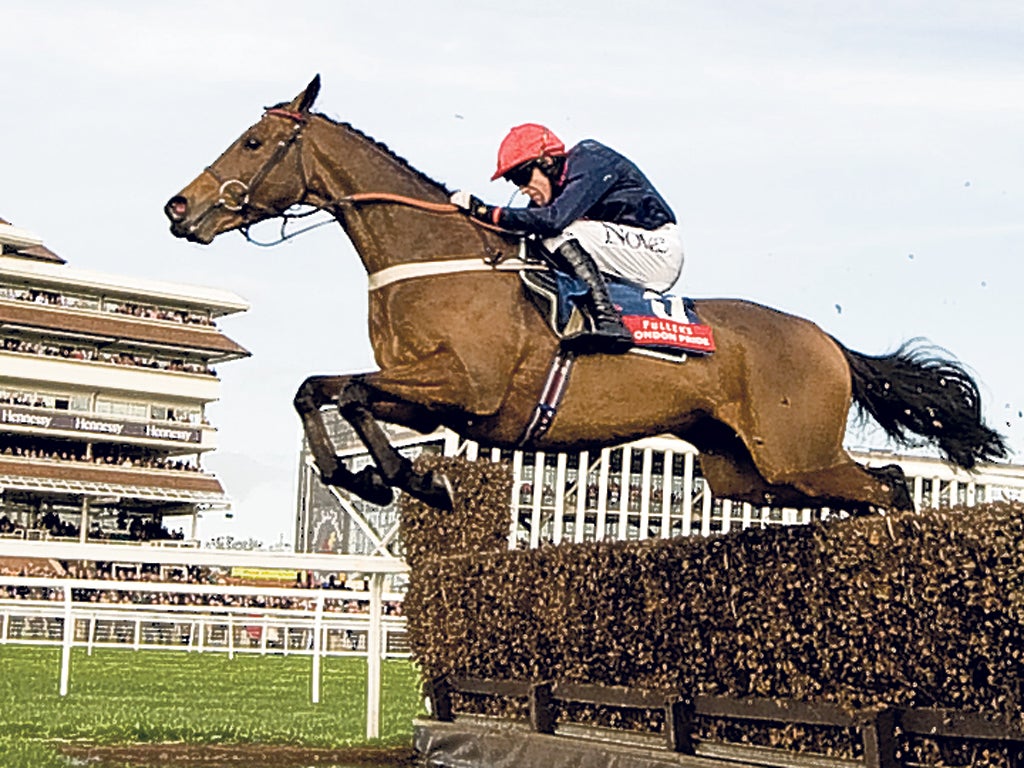 Bobs Worth clears the water jump on the way to victory at Newbury