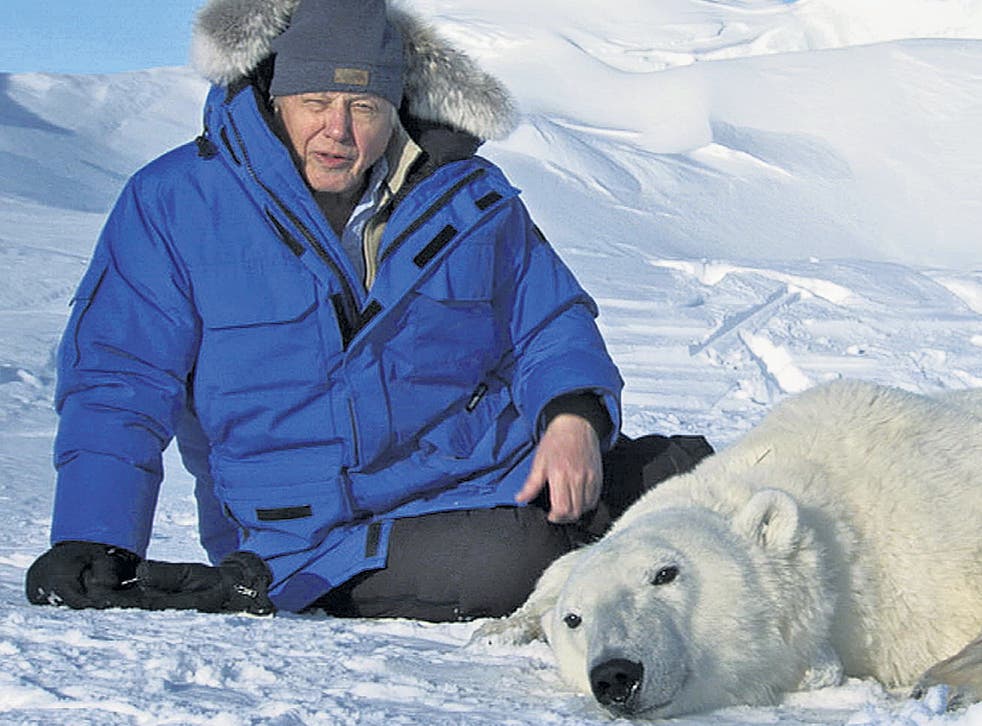 Sir David Attenborough, above filming Frozen Planet, fears the melting permanent ice will cause the most dramatic changes