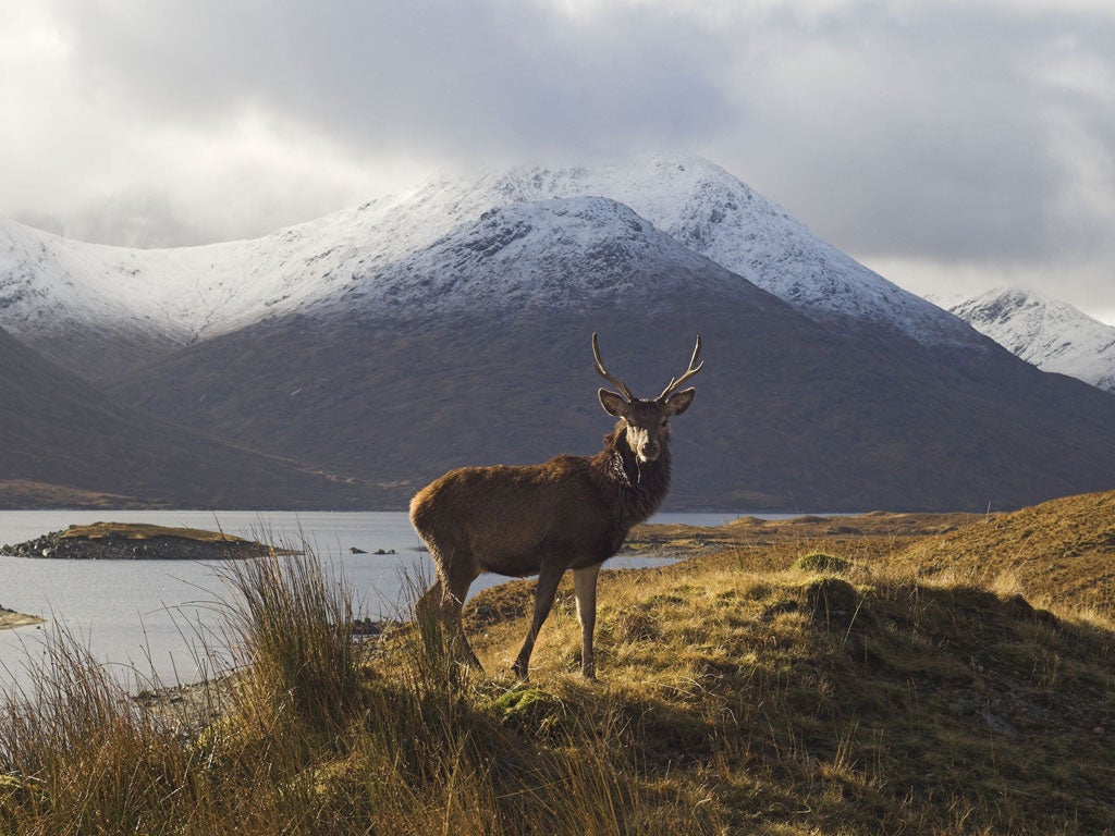 Scotland The perfect winter getaway The Independent The