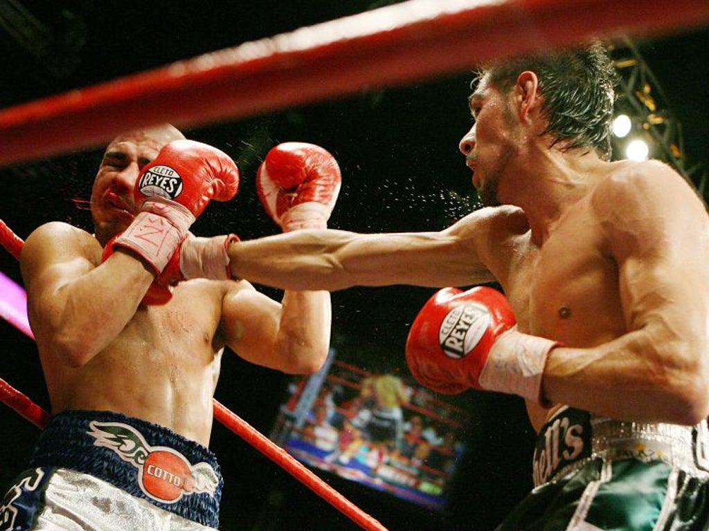 Miguel Angel Cotto feels the weight of Antonio Margarito's right in their first fight in 2008