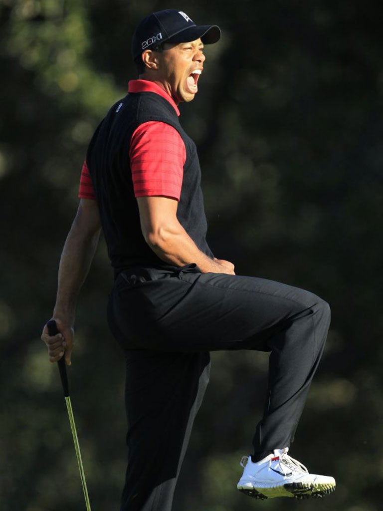 Tiger Wood's relief is apparent after winning the Chevron World Challenge yesterday