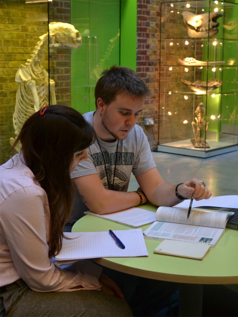A student receives one-to-one tutoring in Biology