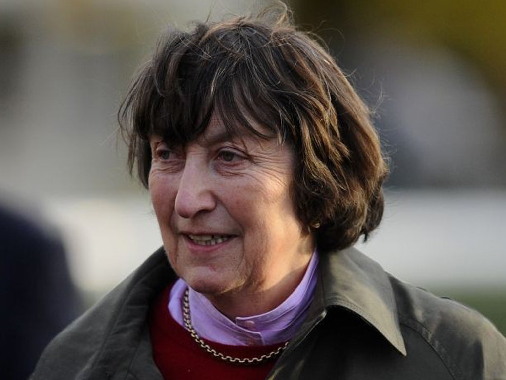 Henrietta Knight: The trainer of Somersby said: "It wasn’t his race and wasn't his course"