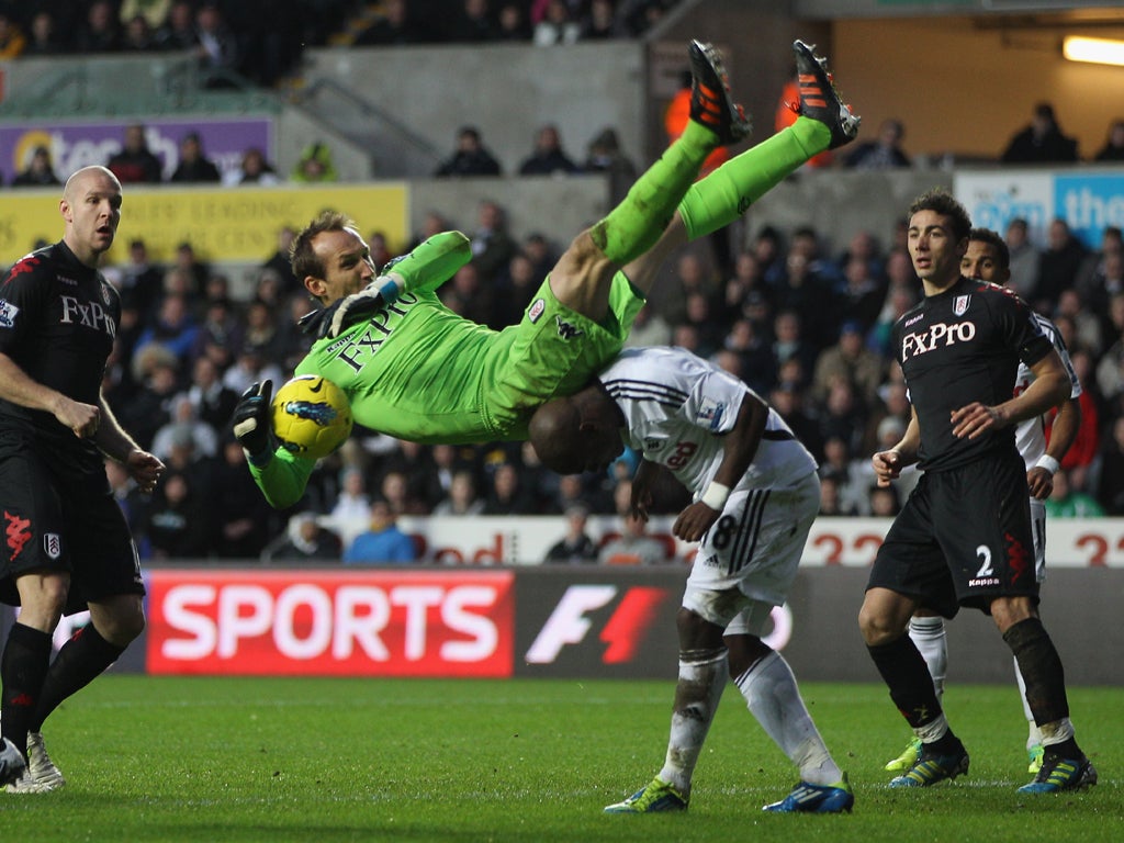 The Fulham goalkeeper, Mark Schwarzer, takes a tumble off the back of Swansea's Leroy Lita