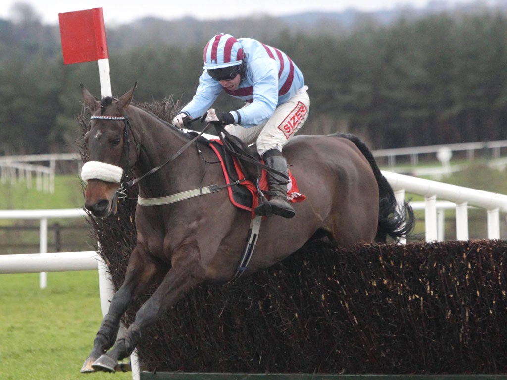 Rubi Light and Andrew Lynch on their way to winning the John Durkan Memorial Punchestown Chase