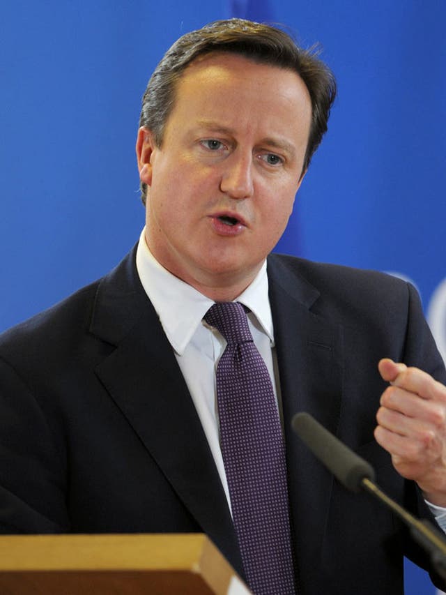 David Cameron insisted any new treaty should be about fiscal union and not the single market
