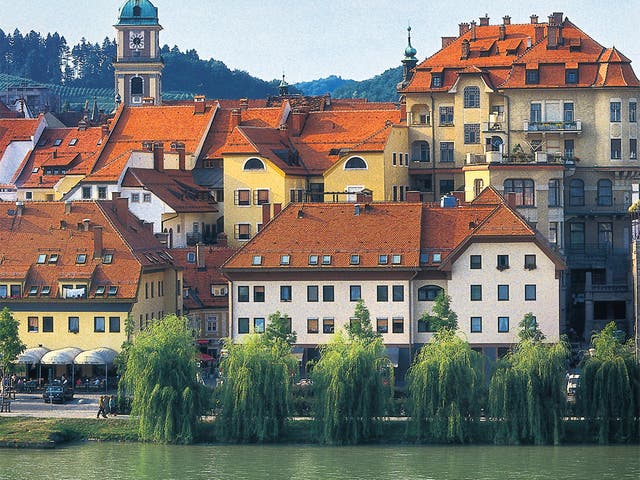 <p>Maribor in Slovenia </p>