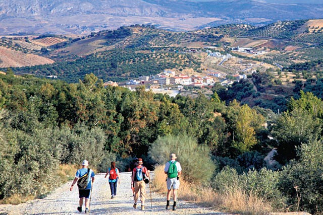 <p> Andalucía is the starting point for two long-distance footpaths</p>