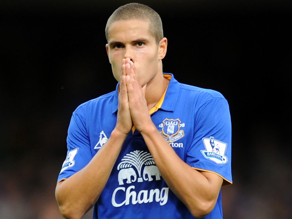 Rodwell has impressed for England and Everton this season