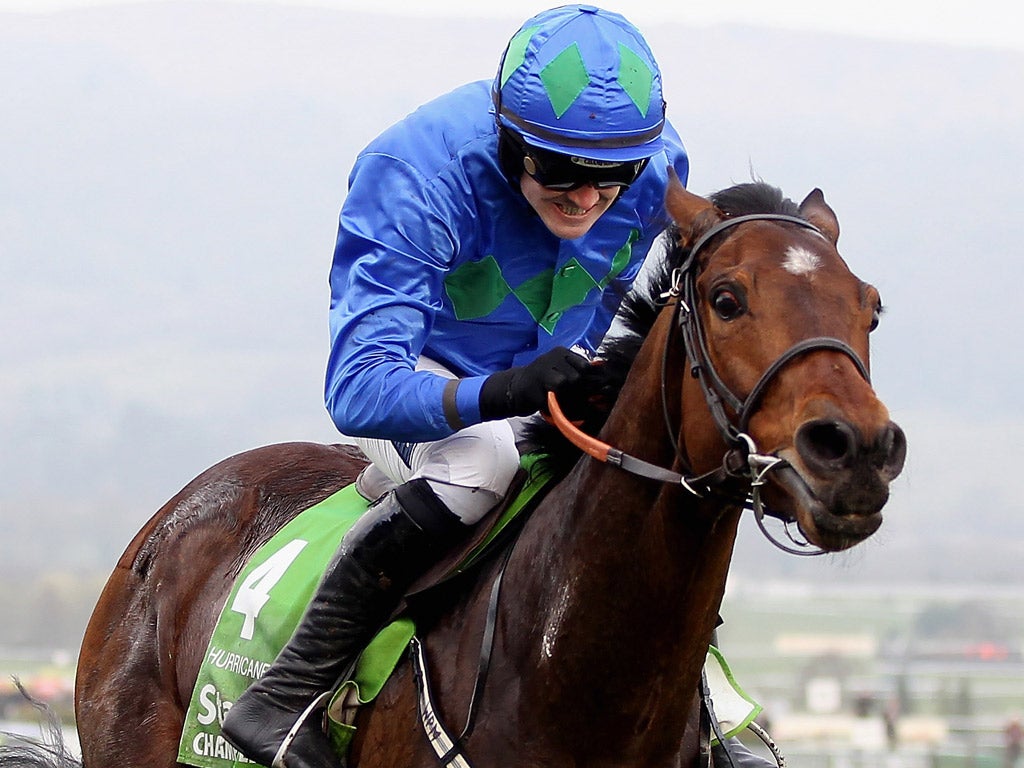 <p>The Festival Hurdle market has seen support for Thousand Stars (pictured) over the favourite Hurricane Fly</p>