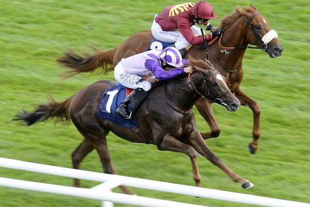 Harvard N Yale is just edged out by Cavaleiro in a two-year-old contest at Newbury in September