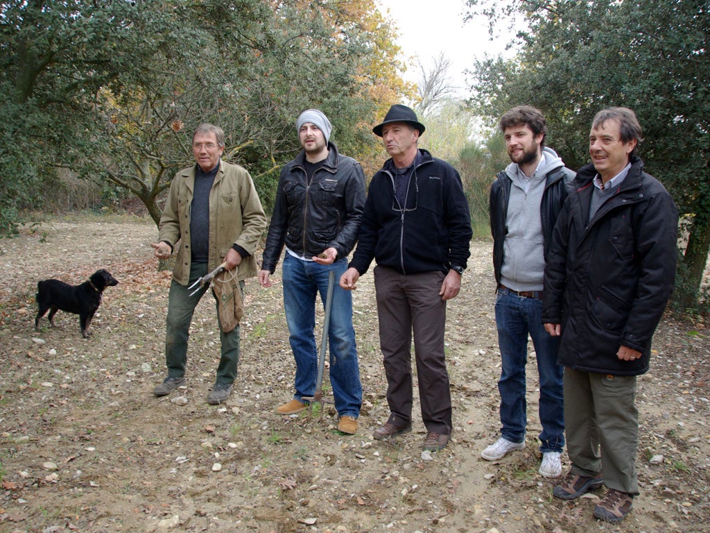 Truffle kerfuffle: 'People get nervous on truffle hunts' - the writer, second from left, his hunter-gatherer gang